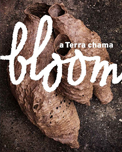 bloom
